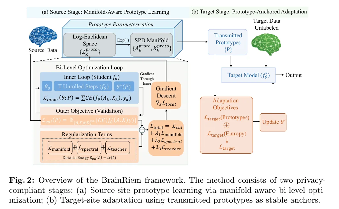 图 2:BrainRiem 两阶段。(a) 源站点:Log-Euclidean 参数化 + 双层优化 + 三项正则,得到原型 <span class="katex"><span class="katex-html" aria-hidden="true"><span class="base"><span class="strut" style="height:0.6833em;"></span><span class="mord mathnormal" style="margin-right:0.1389em;">P</span></span></span></span>;(b) 目标站点:只用 <span class="katex"><span class="katex-html" aria-hidden="true"><span class="base"><span class="strut" style="height:0.6833em;"></span><span class="mord mathnormal" style="margin-right:0.1389em;">P</span></span></span></span> 做监督,外加无标签熵最小。图源:Zhang and Xu, Figure 2, arXiv 2606.29200