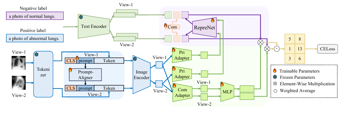 MCD-CLIP 总体结构，图源：Cai et al., Figure 1, IJCAI 2025