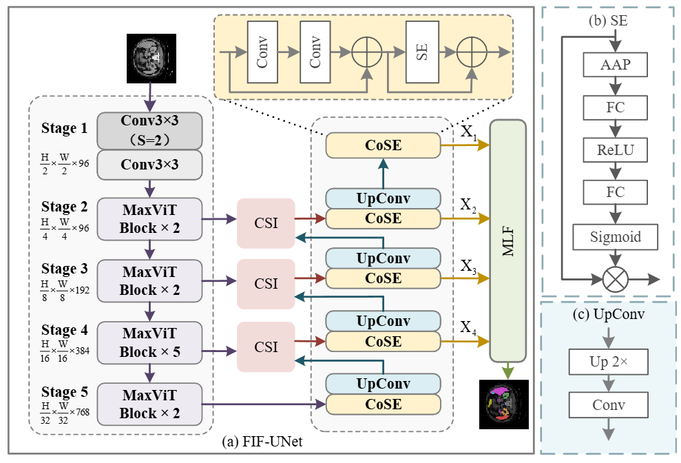 一种利用特征交互与融合的有效 UNet 用于医学图像中的器官分割